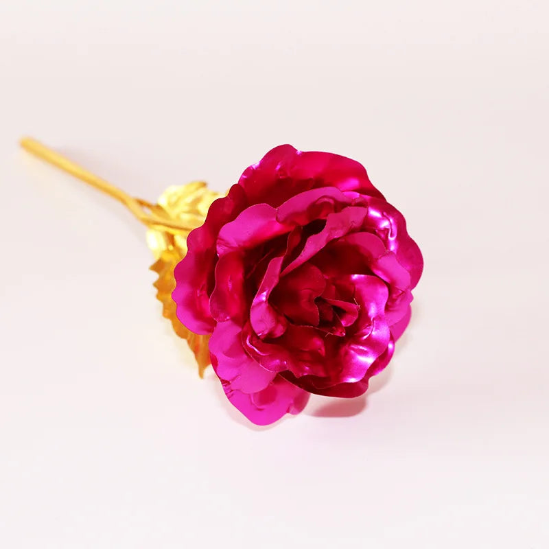 Galaxy Gold Rose